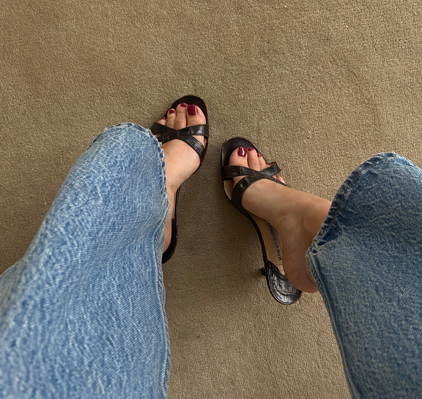 Manolo Croc Mules, 37