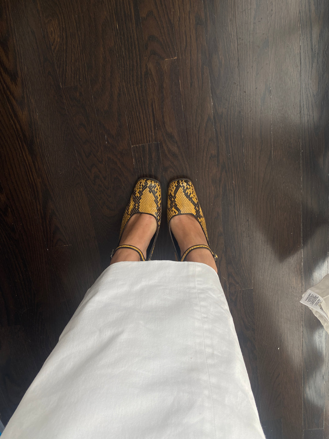 Prada Python Mary Jane Heels, 37 – The Millennial Decorator